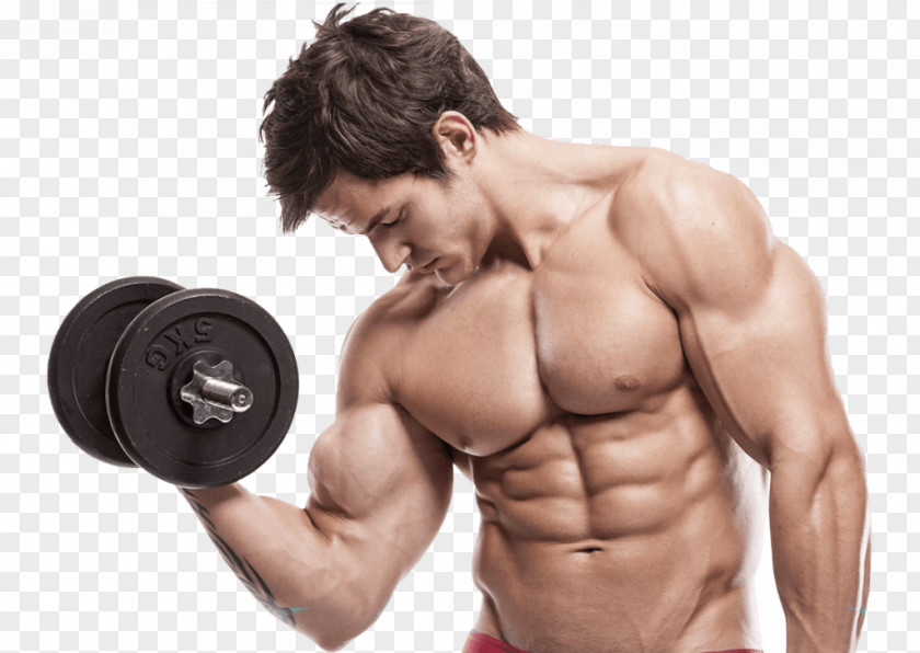 Model Abdominal Exercise Weight Training Physical Fitness PNG