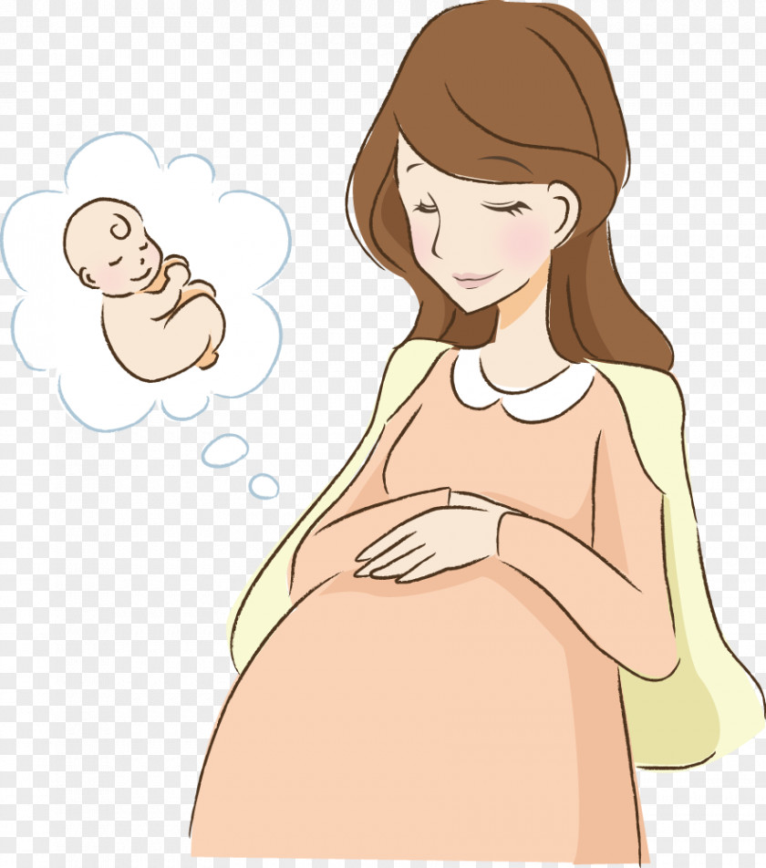 Painted Pregnant Mother Material PNG pregnant mother material clipart PNG