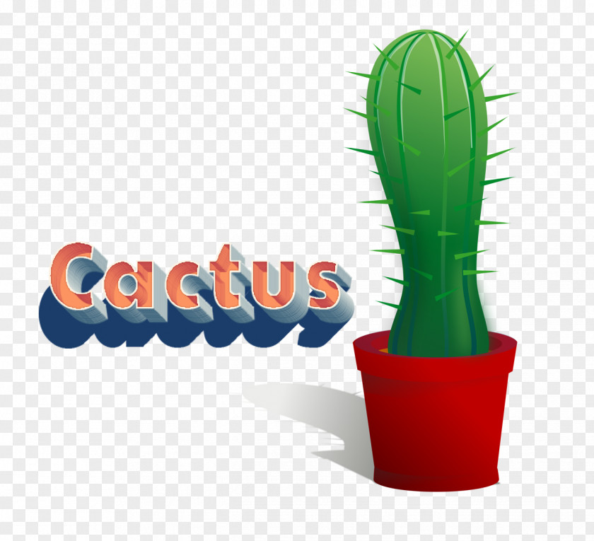 Cactus Product Design Name PNG