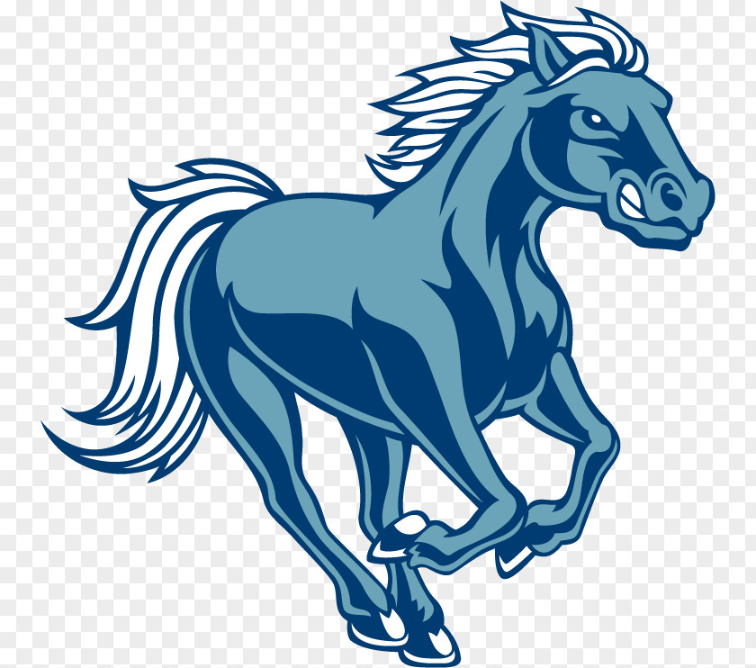 Cartoon Horse Shoe Indianapolis Colts NFL PNG