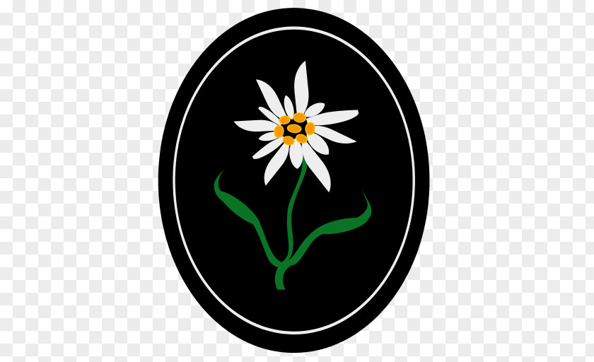 Clip Art Logo Flower Symbol Fullmetal Alchemist PNG