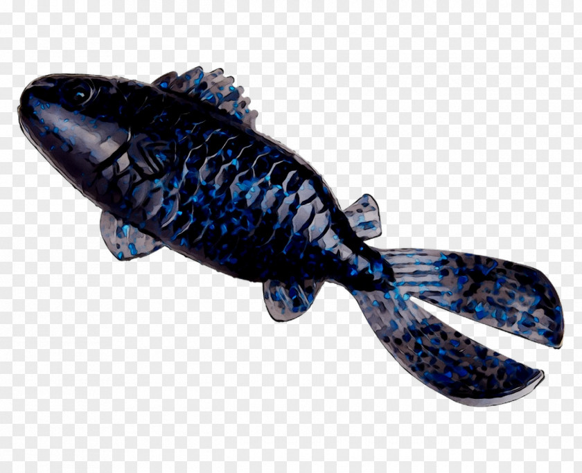 Cobalt Blue Fish PNG