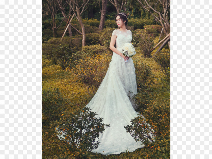 Dress Wedding Gown Fashion A-line PNG