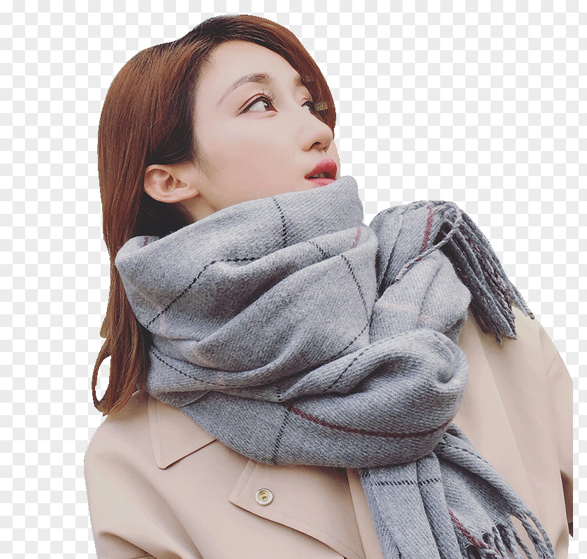 Korean Version Scarf Shawls And Scarves Clothing Fashion PNG