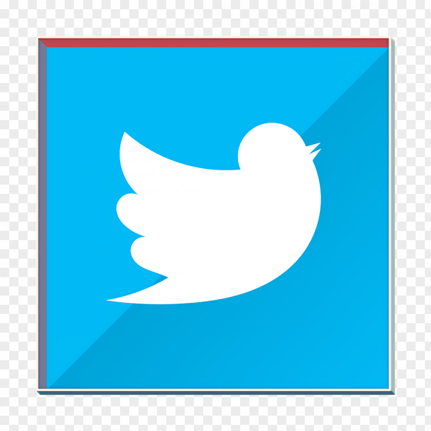 Rectangle Bird Icon Twitter PNG