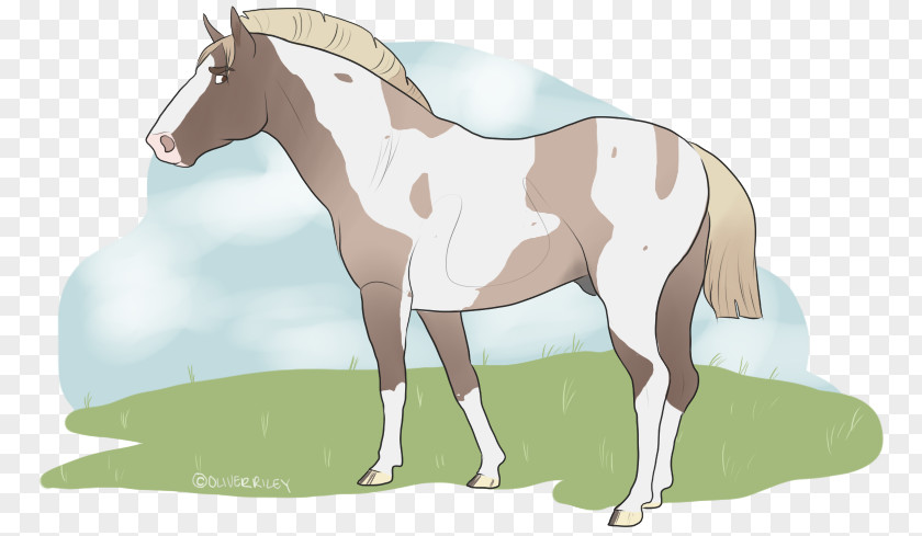 Summer Solstice Foal Mane Stallion Mustang Colt PNG