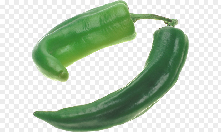 Chile Pepper Jalapeño Chili Bell PNG