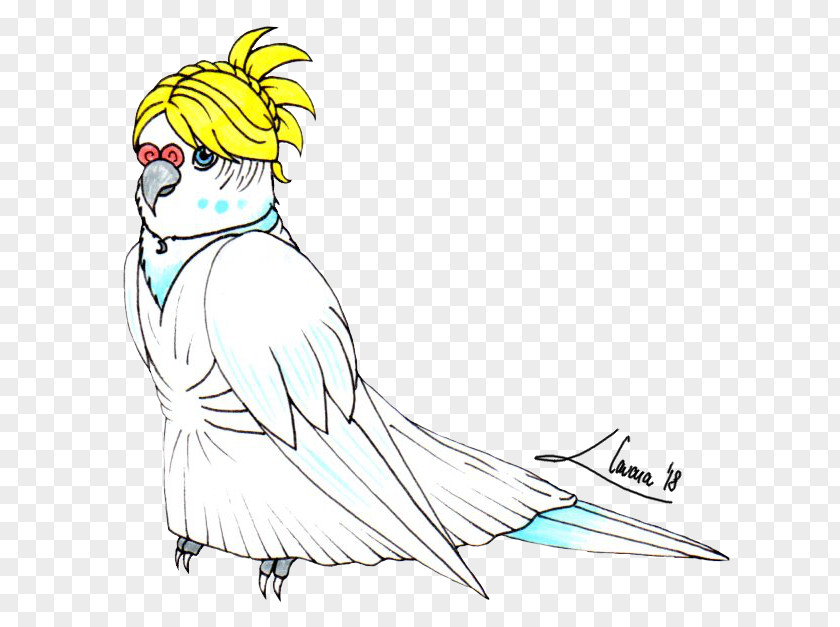 Lunafreya Streamer Macaw Clip Art Parakeet Illustration Cockatoo PNG