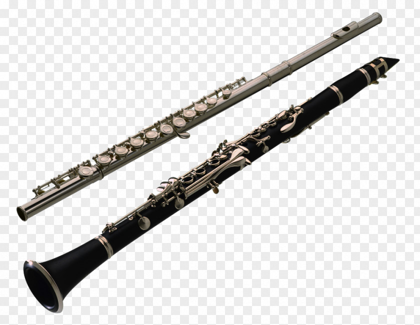 Musical Instruments Clarinet Woodwind Instrument PNG