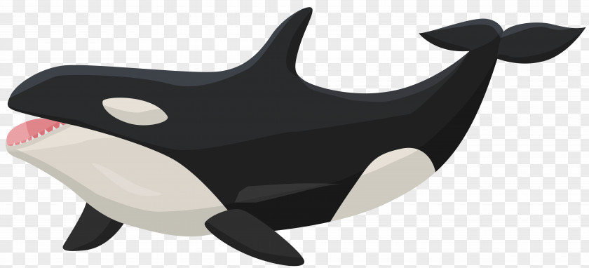 Orca Killer Whale Clip Art PNG