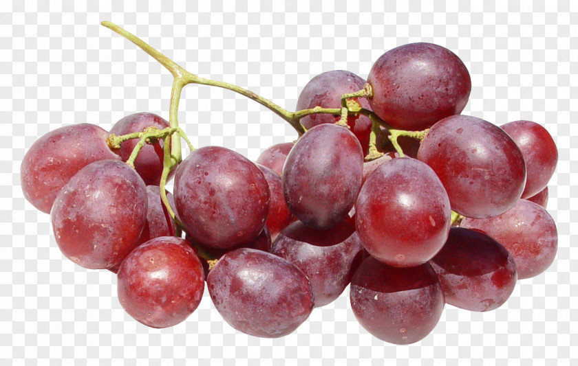 Red Grapes Wine Common Grape Vine Dog PNG