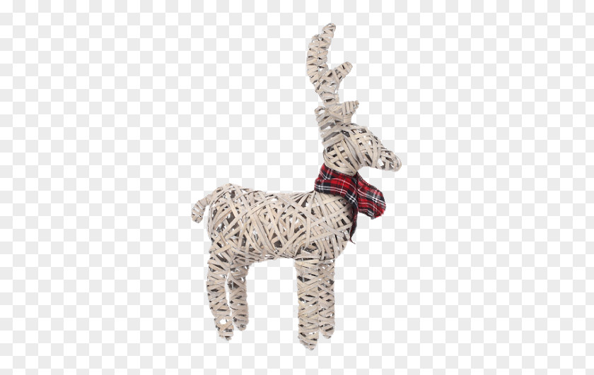 Reindeer Jewellery PNG