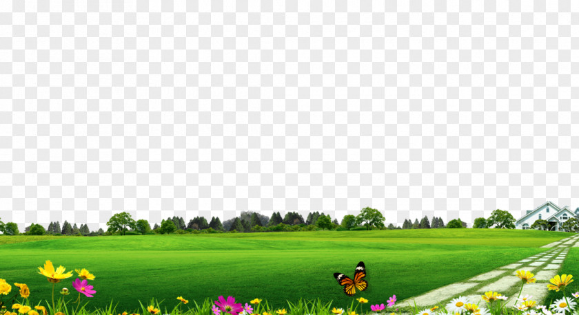 Village Greens To Pull The Stone Material Free Download Lawn PNG
