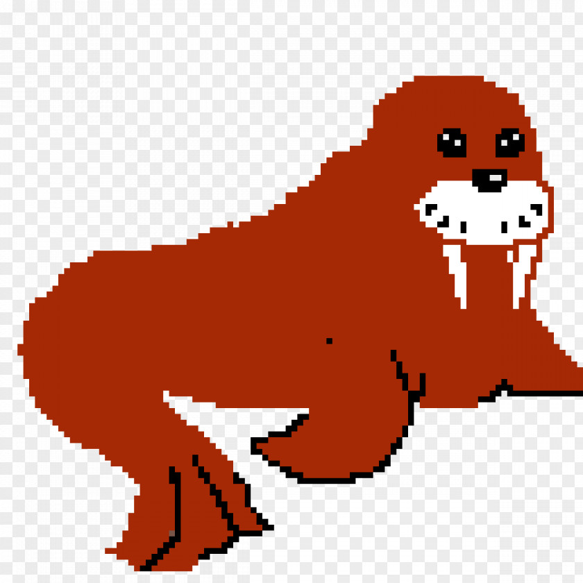 Walrus Dog Bear Mammal Cat Canidae PNG