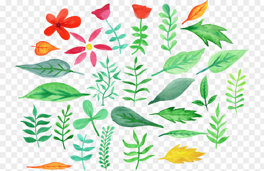Acuarela Flower Leaf Watercolor Painting Floral Design PNG