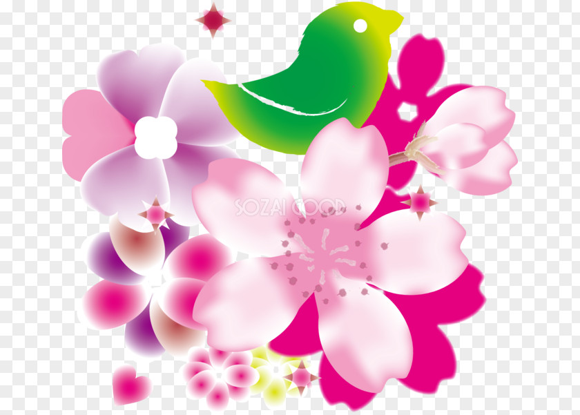 Ai.zip Cherry Blossom 日本の中小企業: 少子高齢化時代の起業・経営・承継 原発棄民: フクシマ5年後の真実 Flower PNG