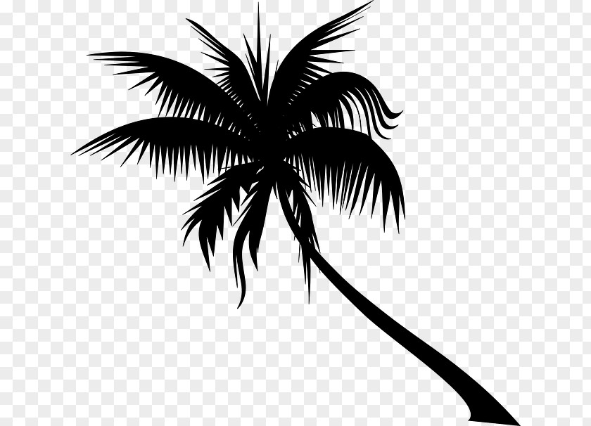 Clip Art Tree Dypsis Decaryi Areca Palm PNG