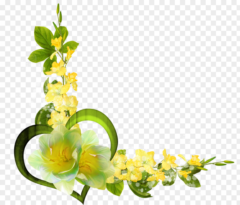 Mimosa Photography Clip Art PNG