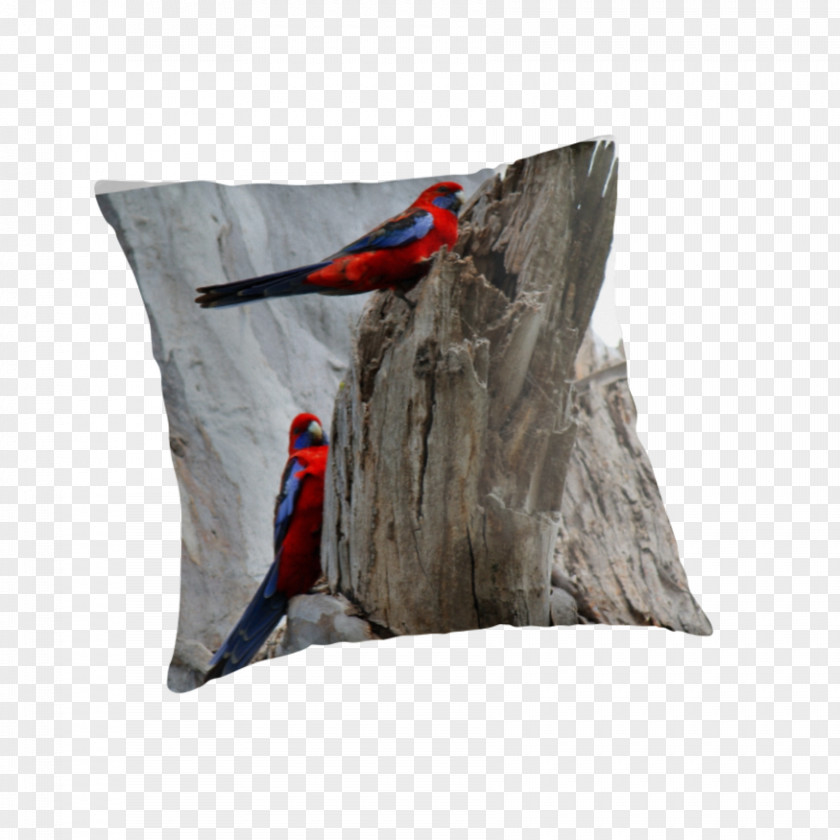 Pillow Throw Pillows Cushion Tree PNG