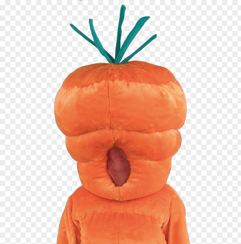 Pumpkin Poil De Carotte Carrot Costume Disguise PNG