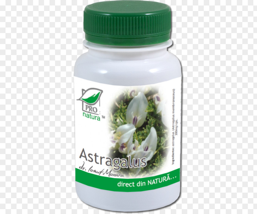 Tablet Dietary Supplement Huáng Qí Therapy Capsule PNG