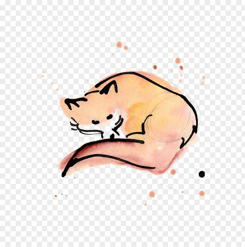 Fox Red Drawing Watercolor Painting PNG