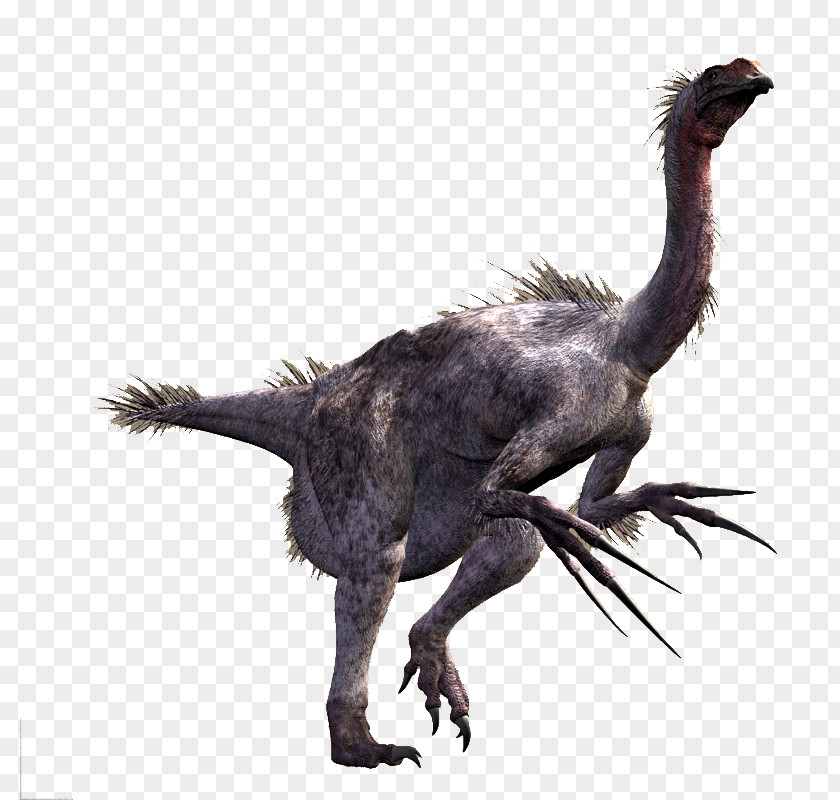 Lizard Therizinosaurus Tyrannosaurus Alxasaurus Velociraptor Tarbosaurus PNG