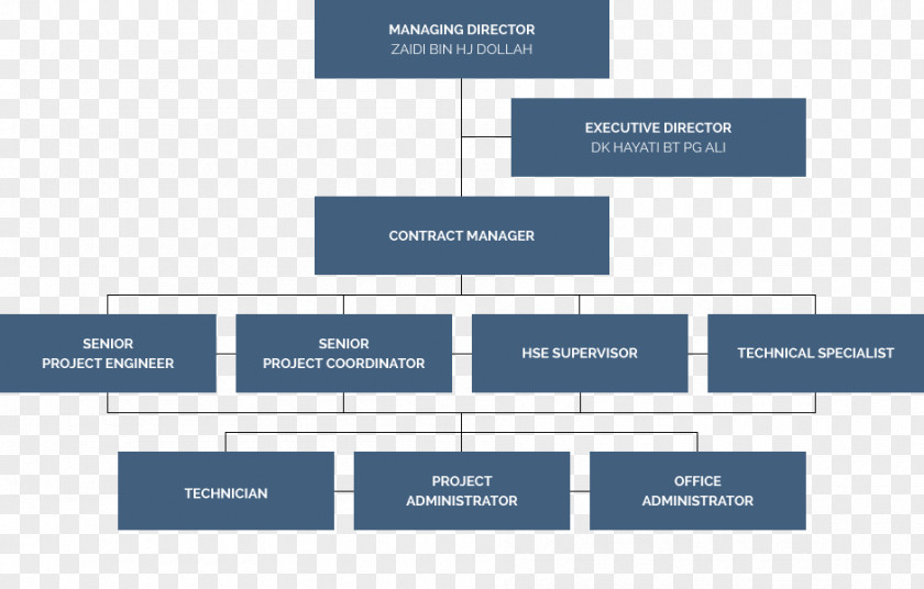 Technology Organizational Chart Diagram Project Manager PNG