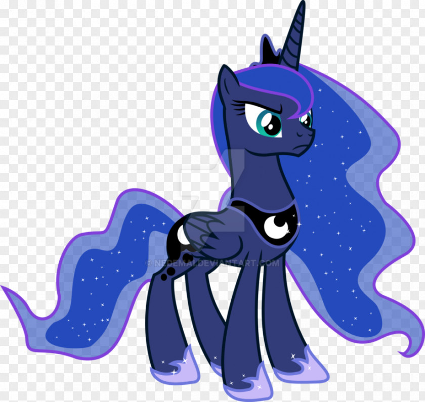 Cat Pony Drawing Horse PNG