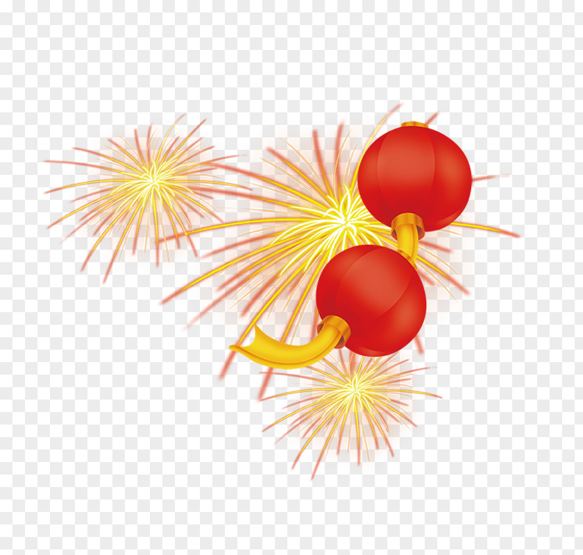 Fireworks Vector Graphics Image PNG