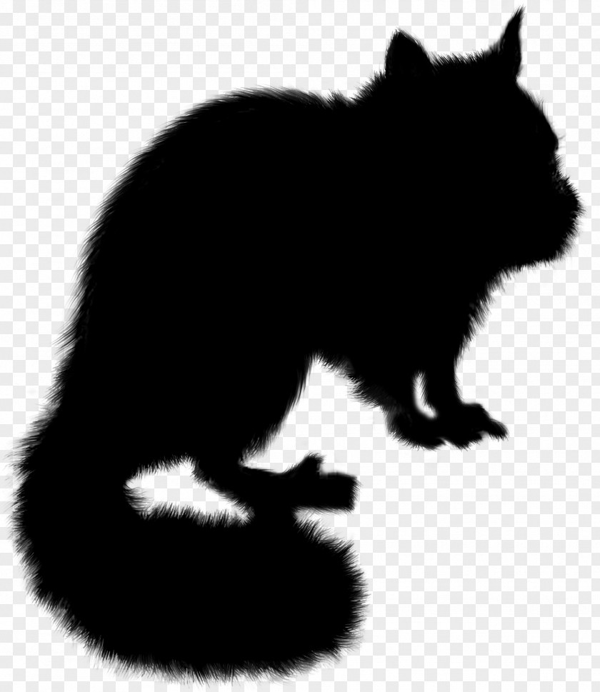 Whiskers Cat Raccoon Red Fox Bear PNG
