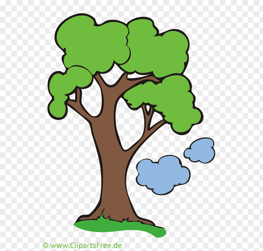 Afrikanischen Akazie Baum Clip Art Image Vector Graphics Free Content PNG
