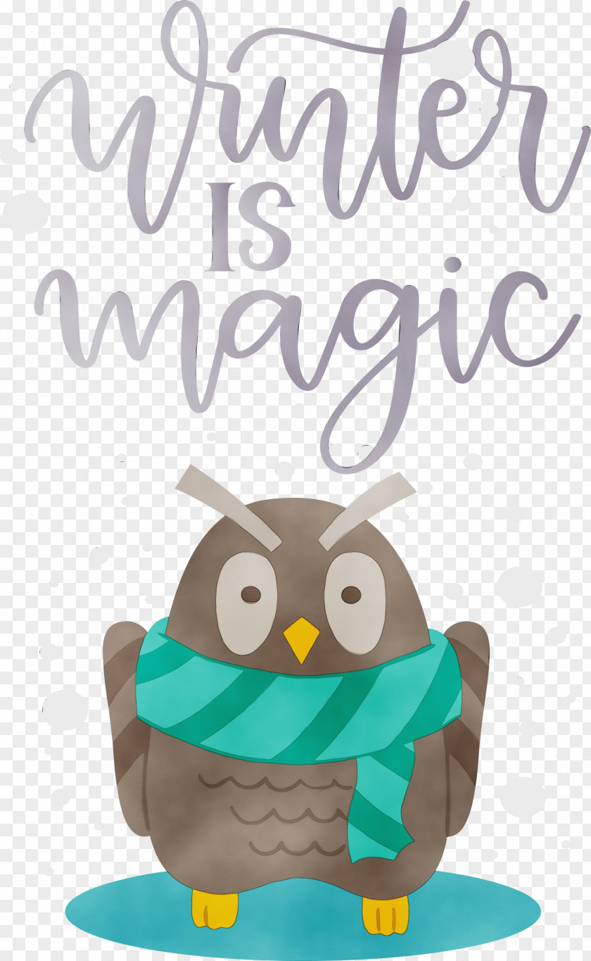 Birds Beak Bird Of Prey Cartoon Owl M PNG