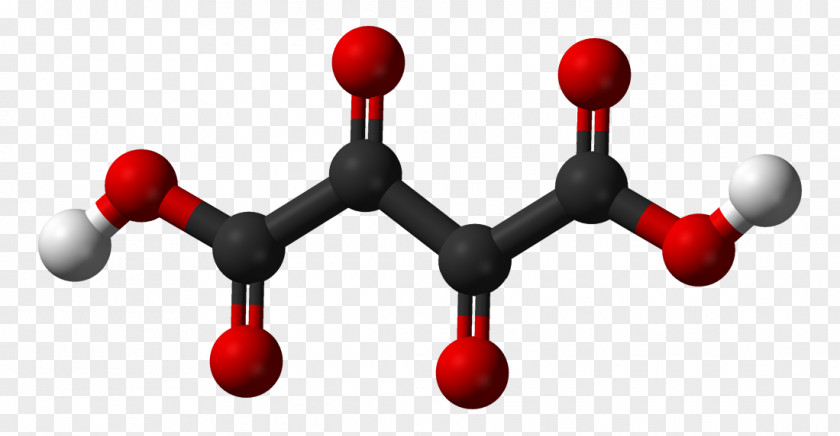 Cycle Ball Oxalate Ion Oxalic Acid Oxaloacetic PNG