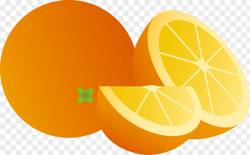 Sweet Lemon Grapefruit Orange PNG