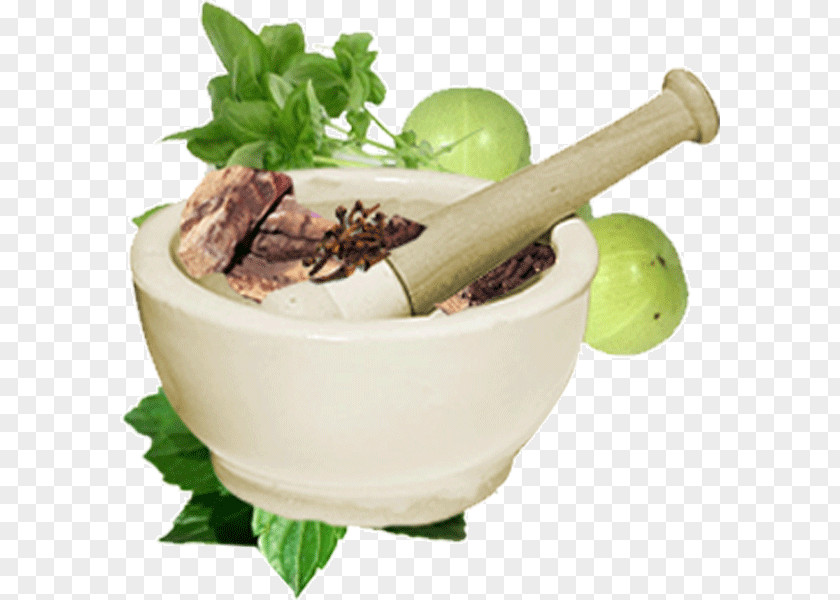Tingling Ayurveda Medicine Physician Therapy Alternative Health Services PNG