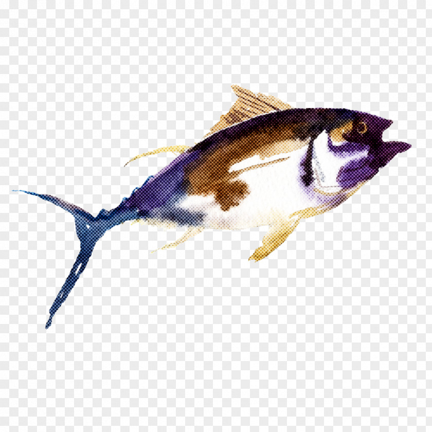 Fish Bony-fish PNG