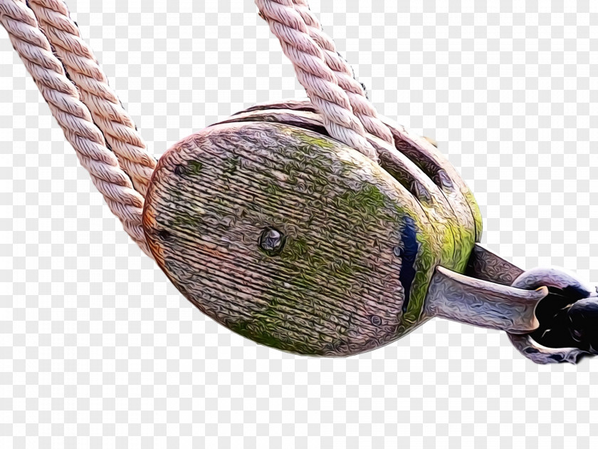 Rope PNG