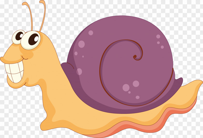 Snail Illustration Molluscs Animal Image PNG