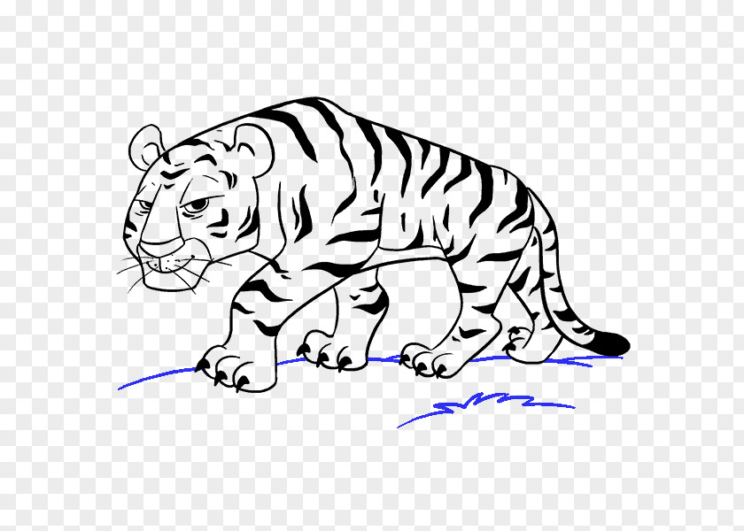 Tony The Tiger Drawing Cartoon Sketch PNG