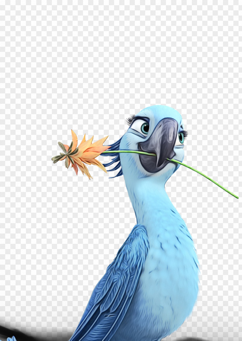 Bluefooted Booby Beak Bird Blue-footed PNG