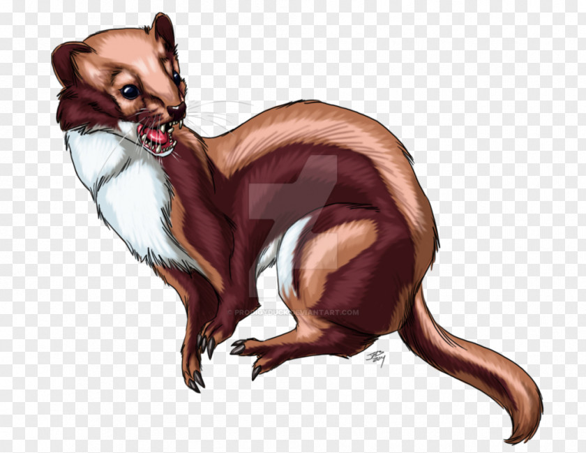Cat Red Fox Cartoon Mammal PNG