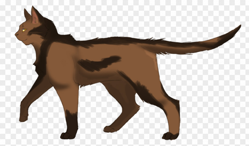 Cat Warriors SkyClan's Destiny Tawnypelt Erin Hunter PNG