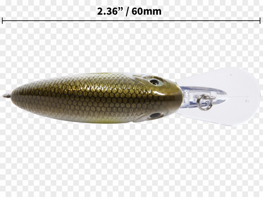 Fish Spoon Lure .cf PNG