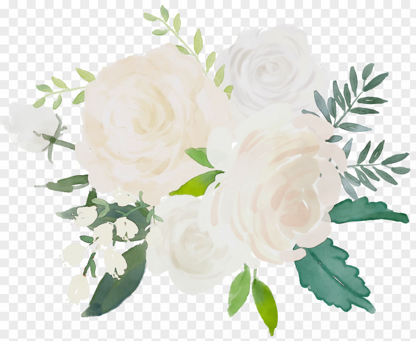 Floristry Gardenia Watercolor Floral Background PNG