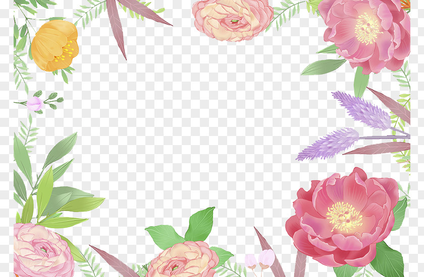 Peony Cartoon Illustration Background Moutan PNG