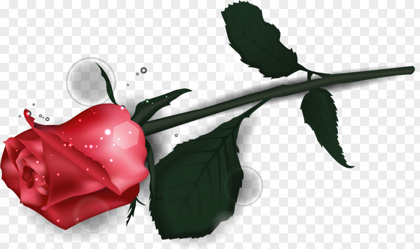 Romantic Garden Roses Valentine's Day PNG