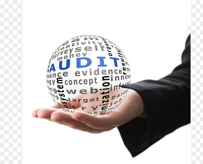 Audit And Assurance Services Internal Control PNG