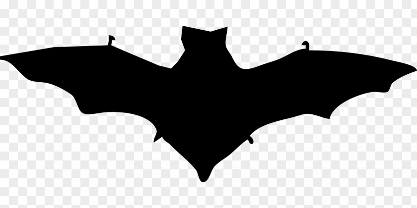 Bat Silhouette Clip Art PNG