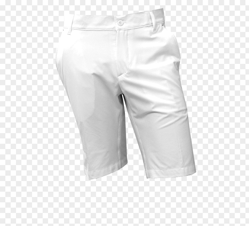 Bermuda Shorts Waist Pants PNG